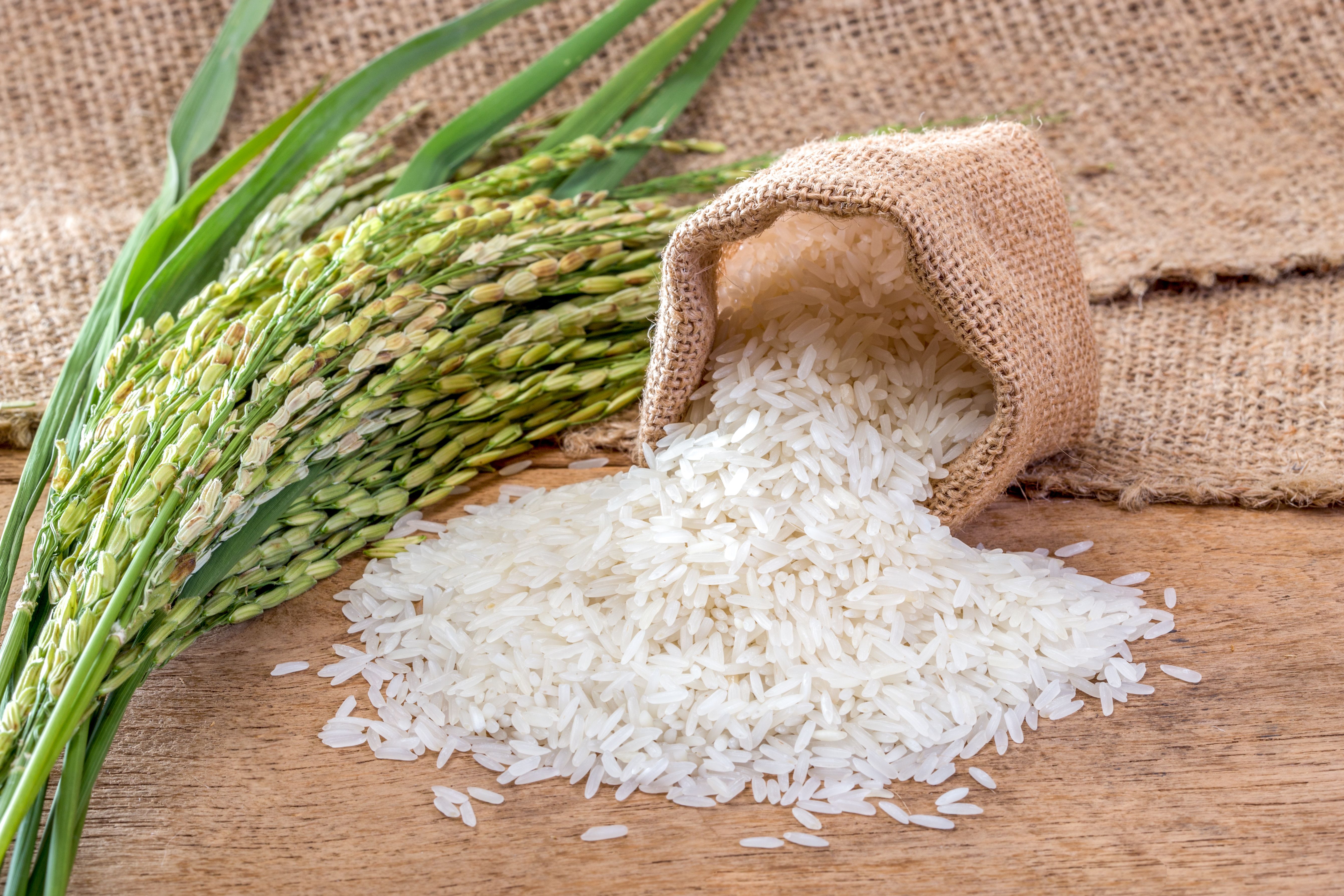 Basmati Rice