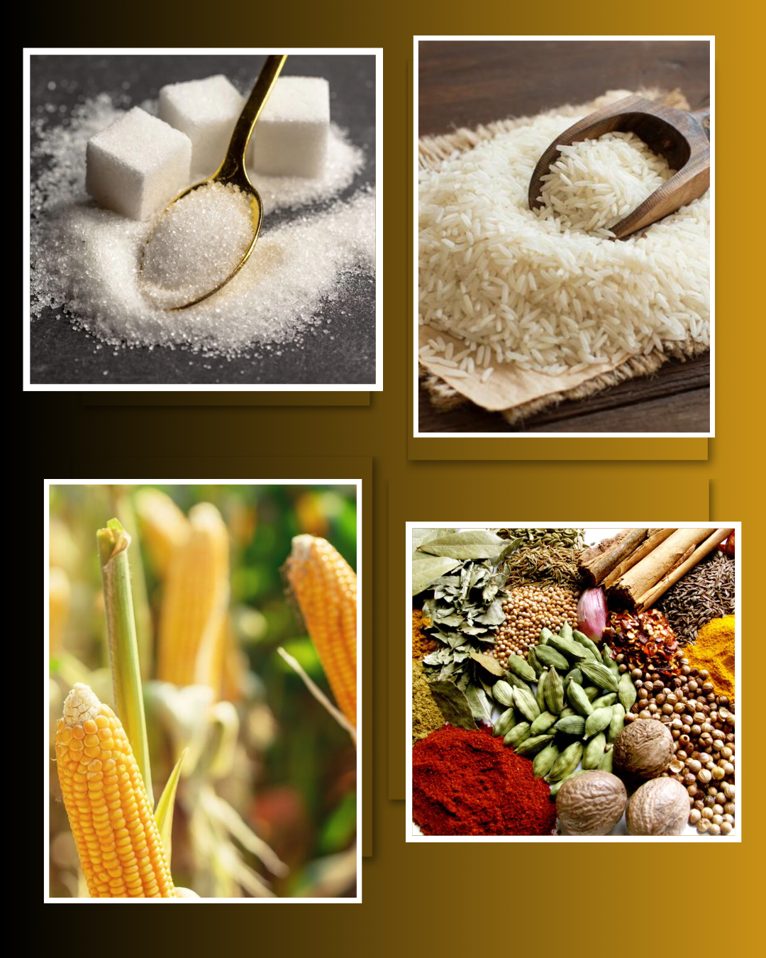 Why Choose Shripad Sales Corporation