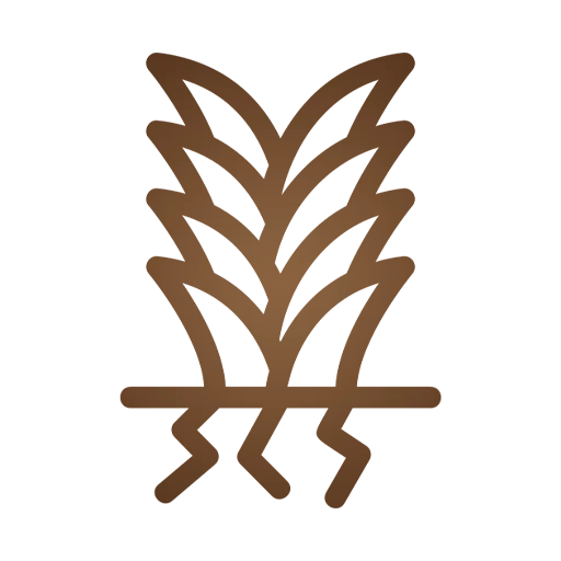 Agricultural Exporters in India